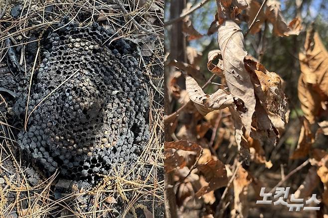 이우섭 기자·김조휘 기자