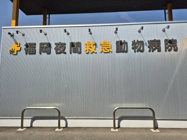 일본 후쿠오카현 후쿠오카시에 있는 ‘후쿠오카 야간구급동물병원’의 외부 모습. 일본어로 쓰여있는 병원 간판이 눈에 띈다.