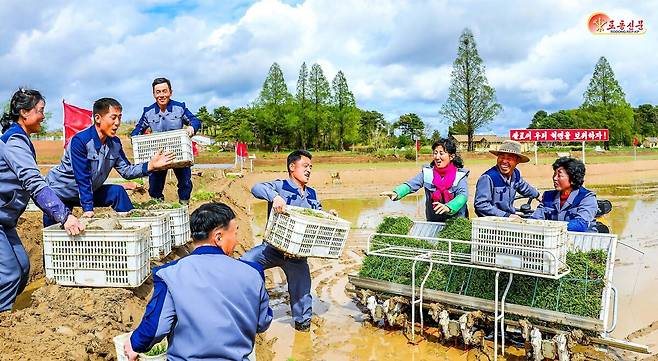 북한 노동당 기관지 노동신문은 11일 "평원군 원화농장에서 모내기가 시작됐다"면서 "올해를 다수확의 자랑찬 성과로 빛내기 위해 떨쳐나선 이곳 농장원들의 기세는 대단했다"라고 보도했다.