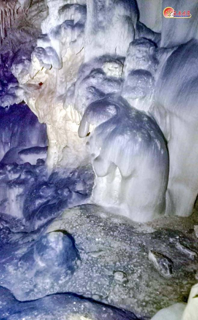 북한 노동당 기관지 노동신문은 11일 "얼마 전 고원군 이룡리에서 특이한 자연동굴이 발견됐다"면서&nbsp;이룡동굴이 천연기념물로 등록됐다고 보도했다.