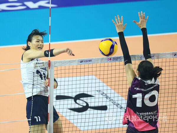한국여자배구대표팀 문지윤.(흥국생명)