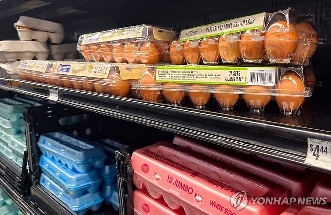 미국 마트에 진열된 달걀 [휴스턴 AFP=연합뉴스. 재판매 및 DB 금지]