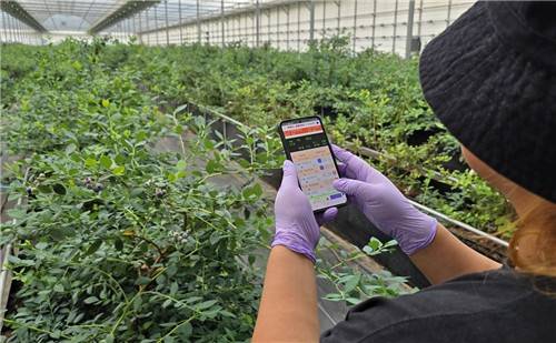 휴대전화로 온도, 습도 조절 [최세호씨 제공.재판매 및 DB금지]