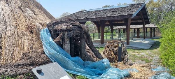 파주시 대능리 신석기 유적공원의 움집이 썩어 무너진 상태에서 흉물로 장기간 방치돼 눈살을 찌푸리게 하고 있다. /파주시민네트워크 제공