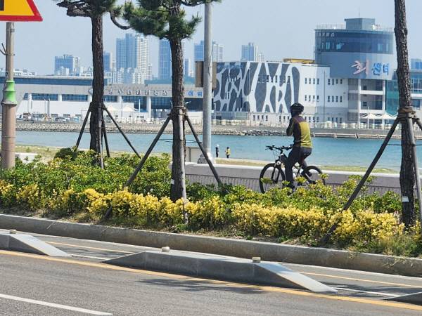 일부 자전거 이용자들은 자전거도로 대신 넓은 인도를 주로 이용하고 있었다. 서의수 기자