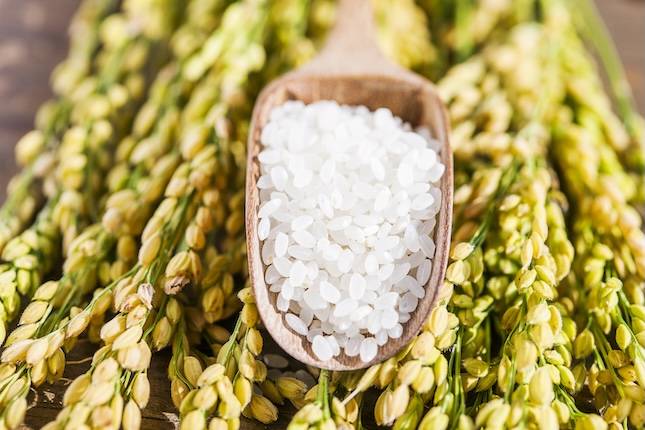 사진=아이클릭아트