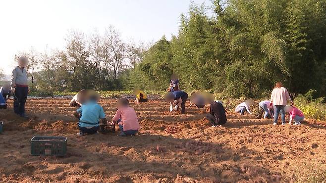 [전주MBC 자료사진]