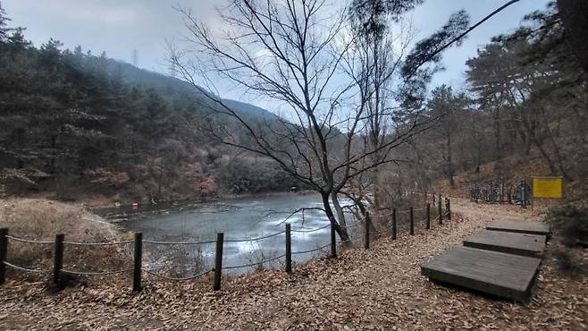 대구 달성군에 사는 중학생 박군이 물에 빠진 친구 3명을 구한 뒤 숨진 저수지.