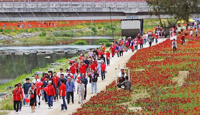 충북 괴산군이 마련한 2025 빨간맛 페스티벌이 23~25일 괴산유기농엑스포 광장과 동진천 일원에서 열린다. 사진은 지난해 축제 때 모습. 괴산군 제공