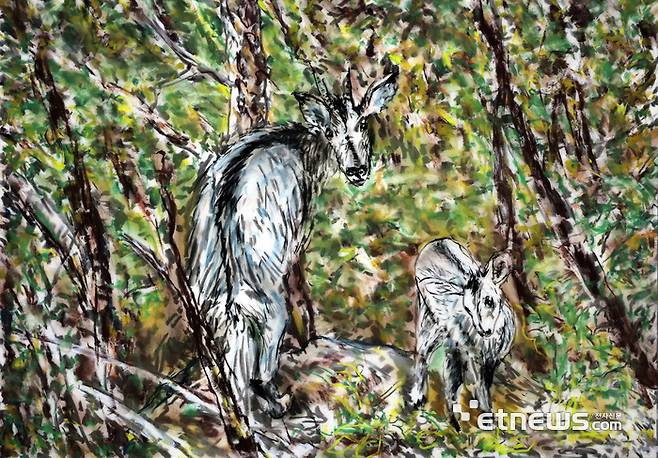 파주 DMZ 문화예술공간 '통'에서 개최하는 'Accidental Nature｜우연적 자연' 전시 작품.