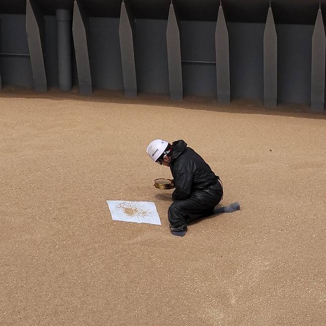 지난 15일 인천항에서 ‘곡류 전용 선박’에서 검역관이 선상검역을 진행하고 있다. 흰 천을 펼친 뒤 밀을 채 위에 두고 흔들었다. 채 위에 밀은 남고 밑으로 병해충만 떨어진다. 사진=최용준 기자