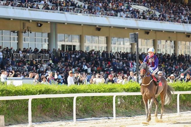 글로벌히트와 김혜선 기수가 지난달 서울에서 열린 YTN배 경주에서 우승하는 모습. 렛츠런파크 부산경남 제공