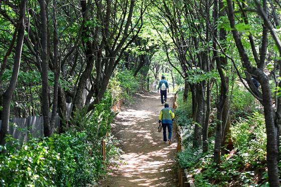 최근 새단장을 마친 서대문구 백련산 맨발길(2㎞)의 모습. 돌부리와 나무뿌리 등을 제거해 맨발로 편하게 걸을 수 있도록 했다. 사진 서울 서대문구