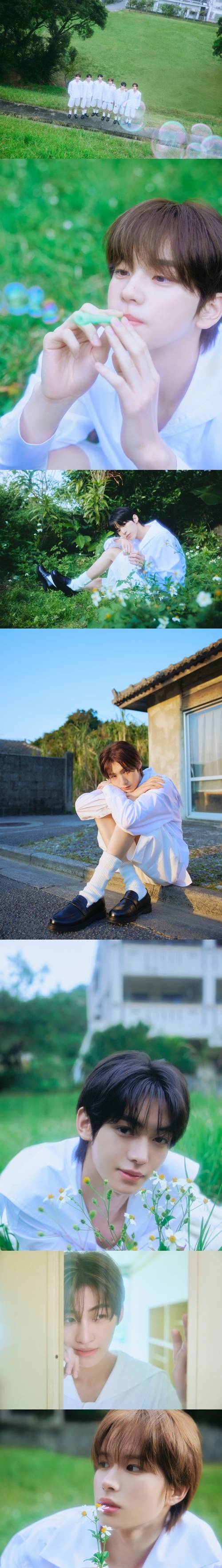 그룹 TWS(투어스)가 ‘K-청량’ 매력을 앞세워 일본 인기에 불을 지핀다.