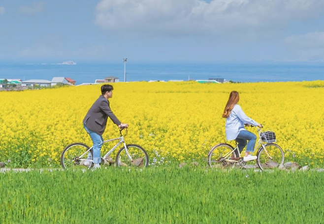 제주특별자치도 제주시 조천읍 함덕리 모습. [사진출처 = 한국관광공사]