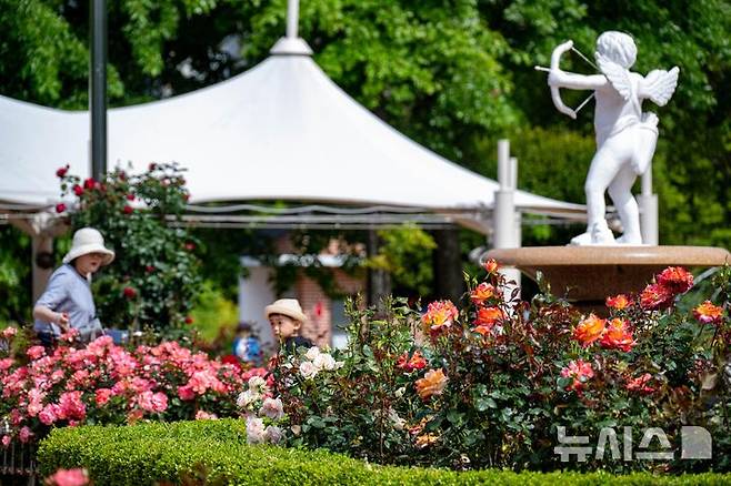 [창원=뉴시스] 차용현 기자 = 화창한 봄 날씨를 보인 18일 오전 경남 창원시 성산구 장미공원에서 시민들이 봄 정취를 만끽하고 있다.2025.05.18.con@newsis.com