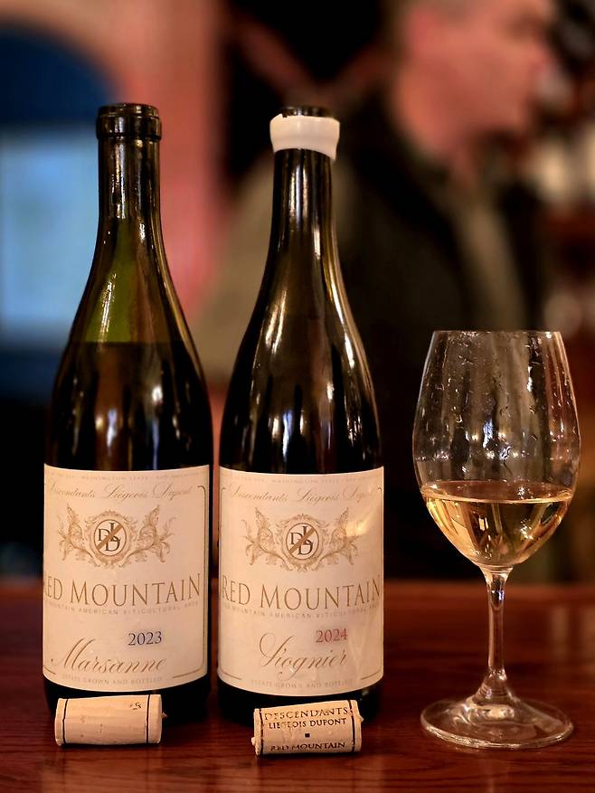 헤지스 비오니에.