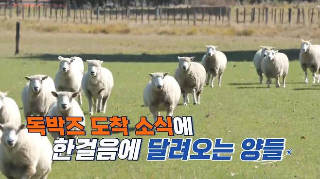 사진｜채널S, SK브로드밴드, K·star, NXT