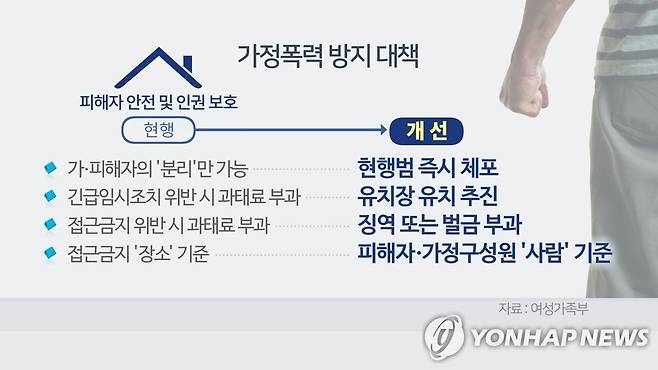 가정폭력 방지 대책 (CG) [연합뉴스TV 제공]