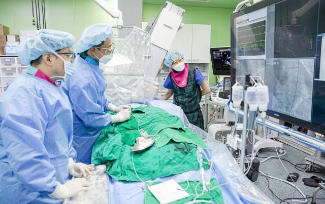 부산대병원 순환기내과 타비 시술팀이 가슴을 열지 않고 작은 절개만으로 카테터를 넣어 인공판막을 삽입하는 경피적 대동맥판막 삽입술을 하고 있다. 부산대병원 제공