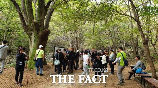 계룡하늘소리길 탐방 현장 모습./계룡시