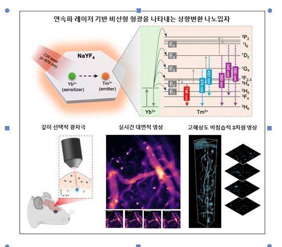 연속파 레이저 기반 상향변환 나노입자를 활용한 비선형 형광 영상 원리와 응용 예시.