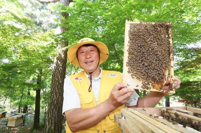 LG그룹이 조성한 토종 꿀벌 서식지에서 김대립 명인이 꿀벌통을 들어 보이고 있다. LG
