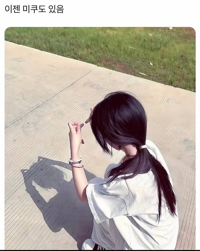 IMG_6779.jpeg 고양이 그림자놀이 근황