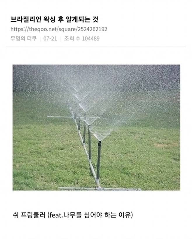 여자들이 브라질리언 왁싱 후 알게 되는 것