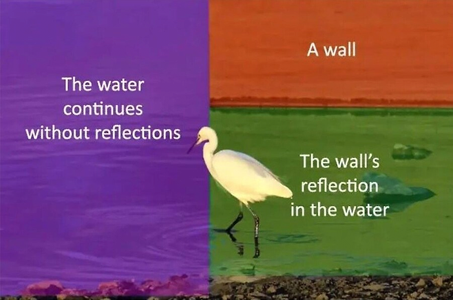 image.png 합성같지만 합성이 아니라는 사진