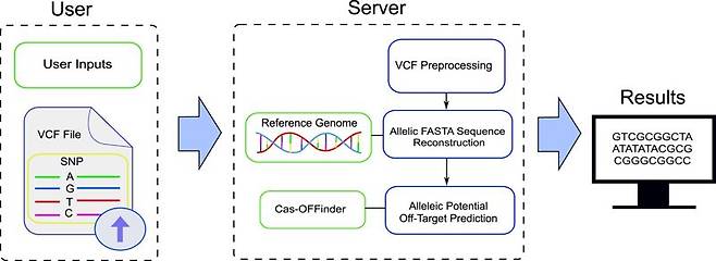 부산대 박정빈 교수 연구팀 연구 이미지. 부산대 제공