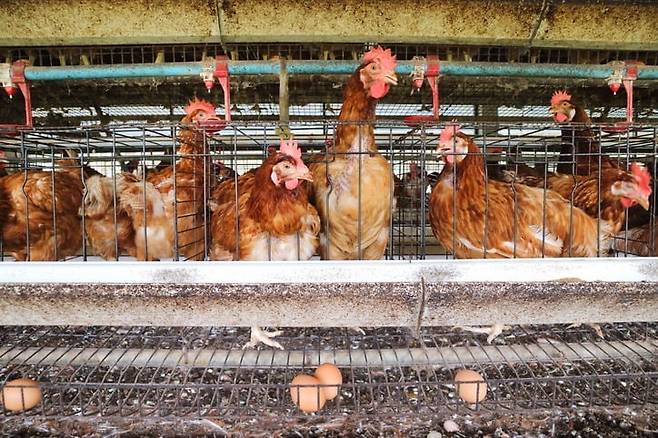 기사 내용과 사진은 직접 관련이 없음. /사진=게티이미지뱅크