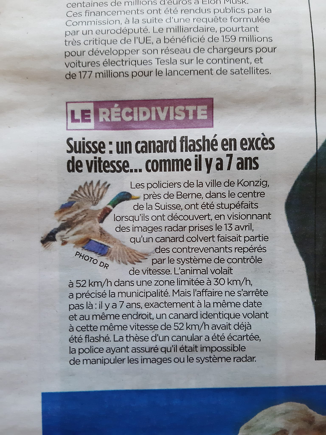 한 누리꾼은 지역 신문에 해당 사건이 보도됐다며 청둥오리가 그려진 지면을 퀴니츠 시 페이스북 댓글창에서 공유했다. [사진 = 스위스 퀴니츠시 페이스북]