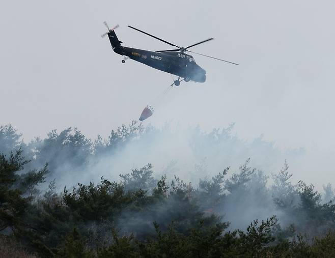 울산 울주에서 발생한 산불을 진화하고 있는 모습.[연합]