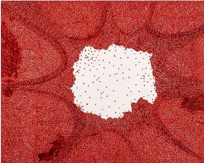 정정엽, 광장20250404, 2025, oil on canvas, 130×162cm *재판매 및 DB 금지