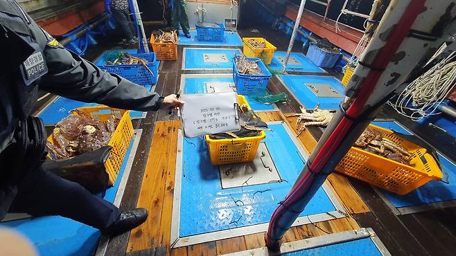 킹크랩 밀수 [동해해경청 제공. 재판매 및 DB 금지]