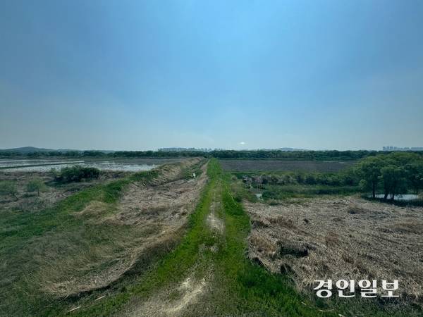 고양시 일산동구 장항습지. 2025.05.19/ 마주영기자 mango@kyeongin.com