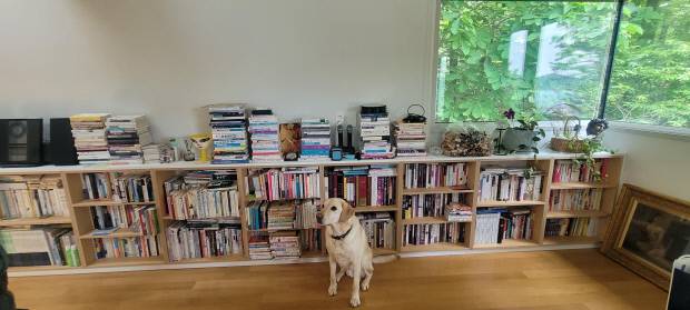 생활 공간으로 사용하는 2, 3층에서도 다양한 책을 만날 수 있다. 3년 전 가족이 된‘ 무등이’.