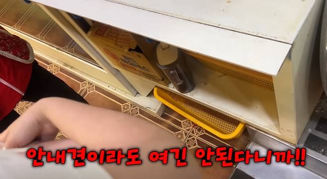 (유튜브 '우령의 유디오')