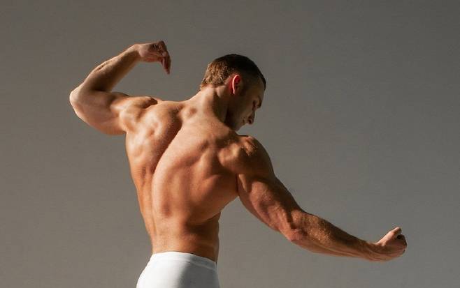 자료사진 출처=픽사베이