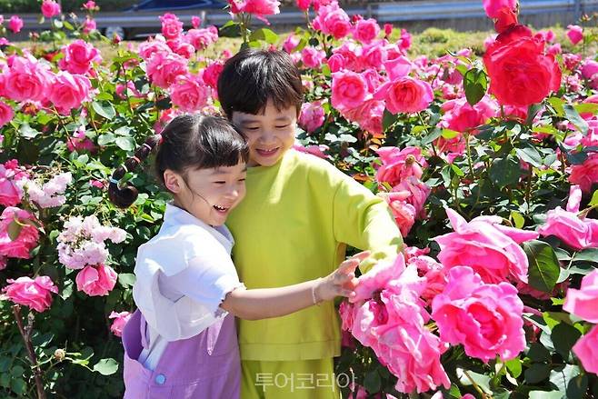 중랑 서울장미축제 /사진-중랑구