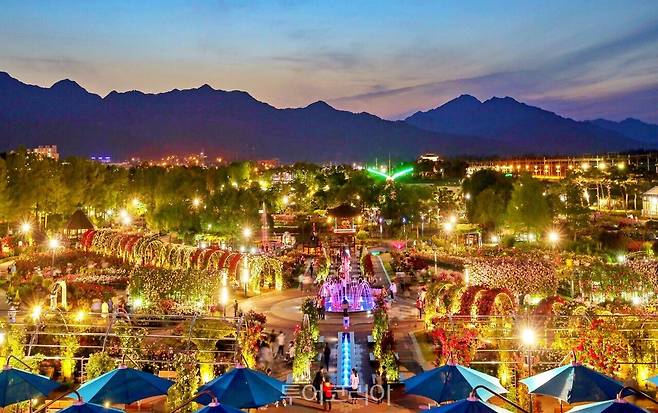 곡성세계장미축제 / 사진- 곡성군