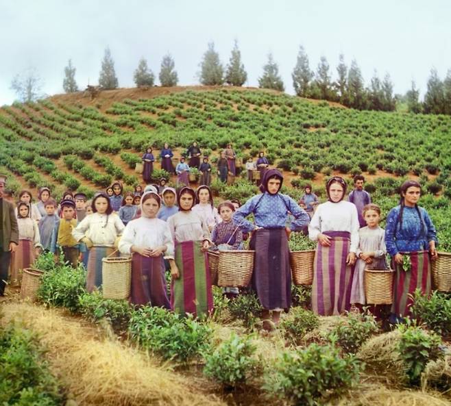 100년 전 고화질 컬러 사진