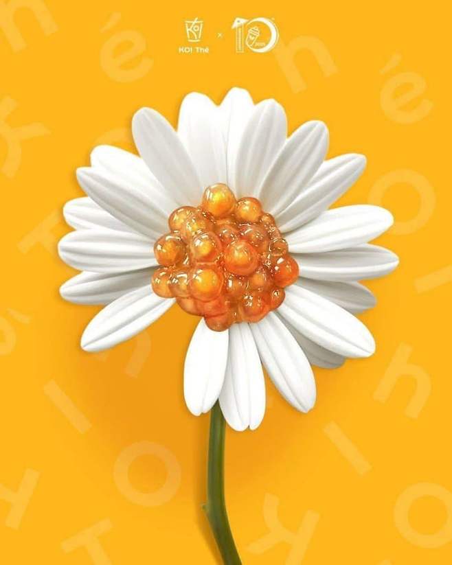 현재 베트남에서 𝙈𝙄𝘾𝙃𝙄𝙉 샤라웃 받는 한국 연예인.JPG | 인스티즈 현재 베트남에서 미친 샤라웃 받는 한국 연예인.JPG