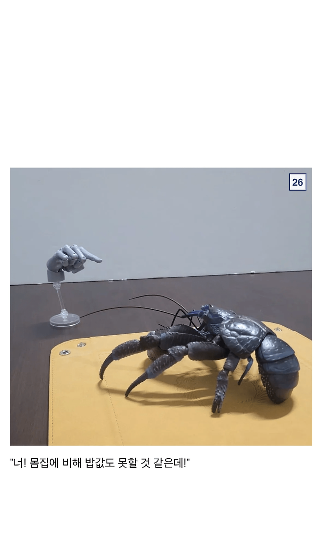 image.png 싱글벙글 9만원짜리 코코넛 크랩.jpg