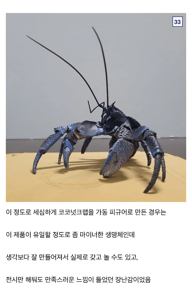 image.png 싱글벙글 9만원짜리 코코넛 크랩.jpg