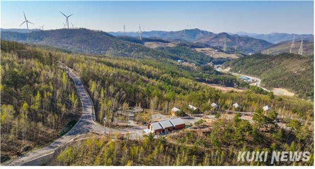 태백 매봉산 천상의 숲 전경. (강원도 제공)