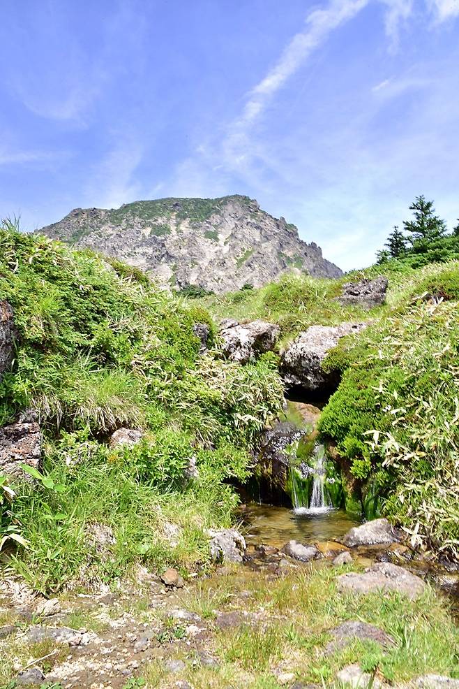한라산 해발 1660m에 위치한 백록샘. 우리나라 용천수 중 가장 높은 곳에 자리한 샘물이다. 제주도 제공