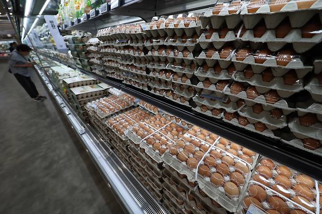 지난 4월 22일 서울의 한 대형마트에 진열된 달걀. [사진 = 연합뉴스]