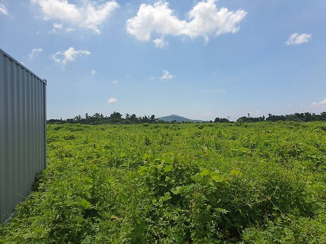 JDC가 제주도 영어교육도시에 조성한 공동주택용지. [헤럴드DB]